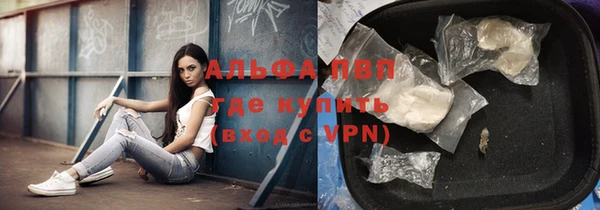 СК Горно-Алтайск