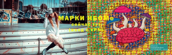 тгк Горняк