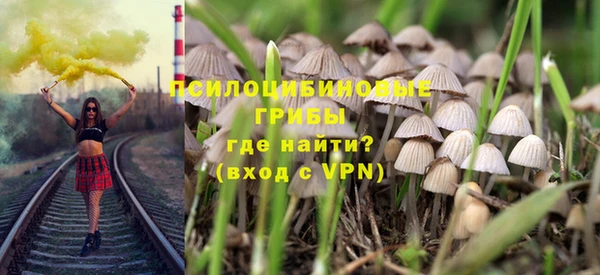 тгк Горняк